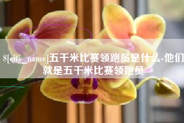 舟山五千米比赛领跑员是什么-他们就是五千米比赛领跑员