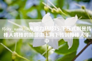 舟山60米接力赛技巧-下压式则是传棒人将棒的前部由上向下传到接棒人手中