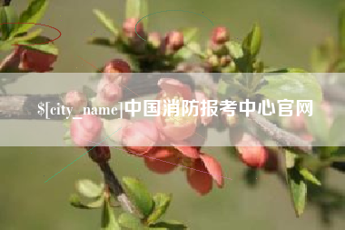 舟山中国消防报考中心官网