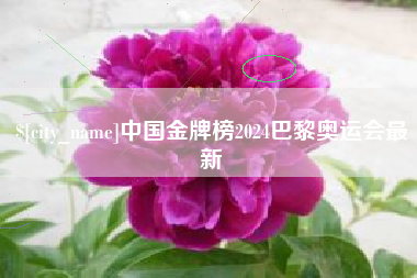 舟山中国金牌榜2024巴黎奥运会最新