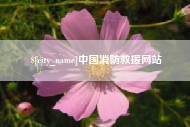 舟山中国消防救援网站