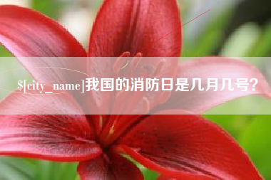 舟山我国的消防日是几月几号？