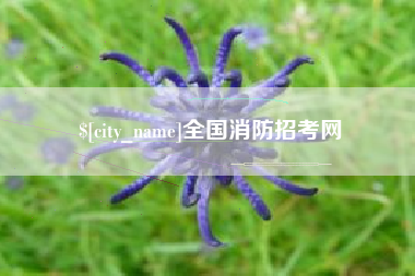 舟山全国消防招考网