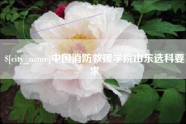 舟山中国消防救援学院山东选科要求