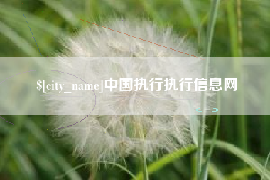 舟山中国执行执行信息网