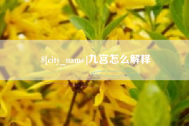 舟山九宫怎么解释