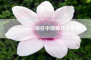 舟山现在中国哪几个金牌