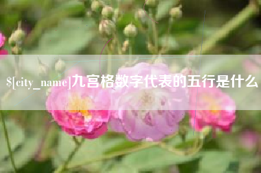 舟山九宫格数字代表的五行是什么