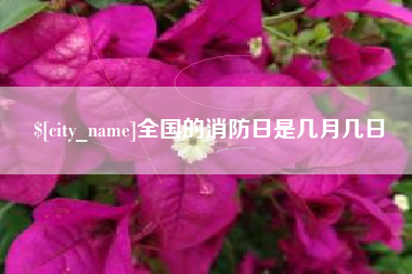 舟山全国的消防日是几月几日