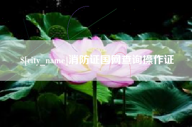 舟山消防证国网查询操作证