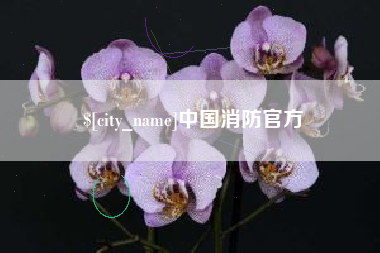 舟山中国消防官方