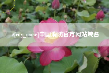 舟山中国消防官方网站域名
