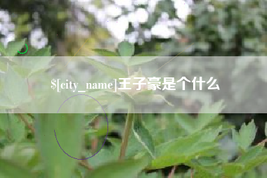 舟山王子豪是个什么