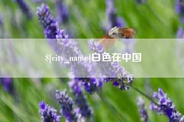 舟山白色在中国