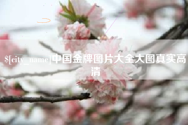 舟山中国金牌图片大全大图真实高清