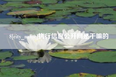 舟山执行信息公开网是干嘛的