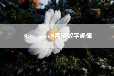 舟山9宫格数字规律
