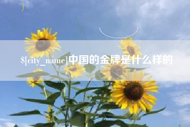 舟山中国的金牌是什么样的