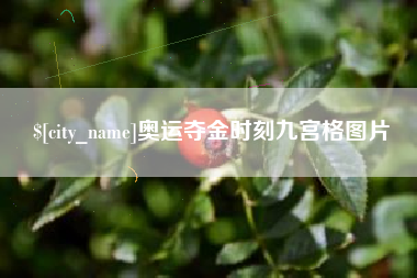 舟山奥运夺金时刻九宫格图片