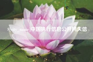 舟山中国执行信息公开网失信