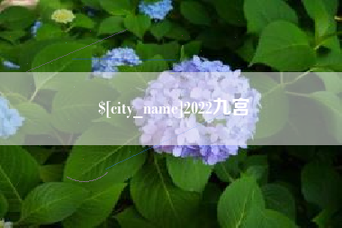 舟山2022九宫