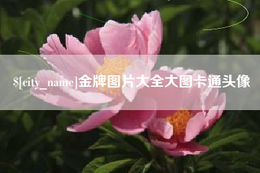 舟山金牌图片大全大图卡通头像