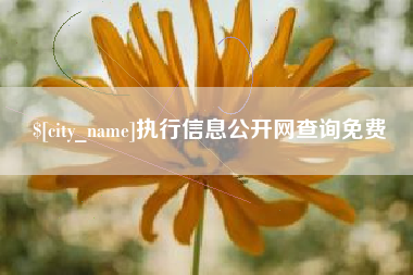 舟山执行信息公开网查询免费