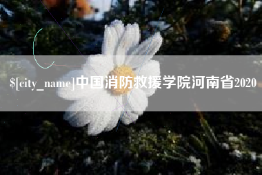 舟山中国消防救援学院河南省2020